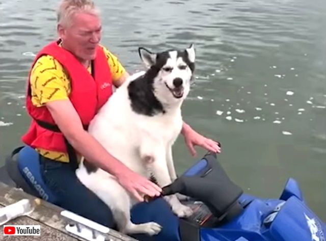 bestpet20190901_7_640