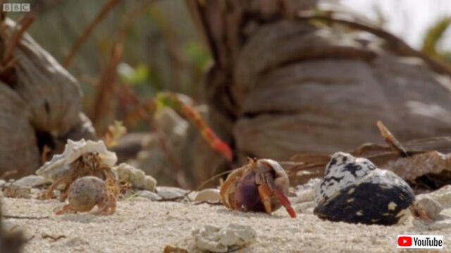 20230518_113231_batch