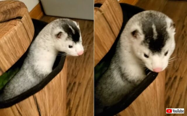 20220412_083930 (11)_batch