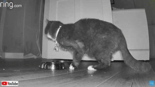 20230926_081914 (3)_batch