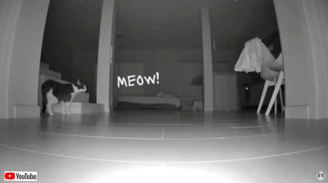 20230708_074906 (7)_batch