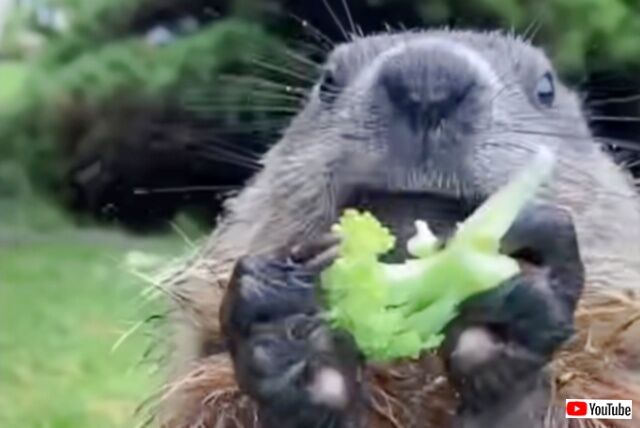 20230901_194703_batch