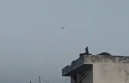 kite