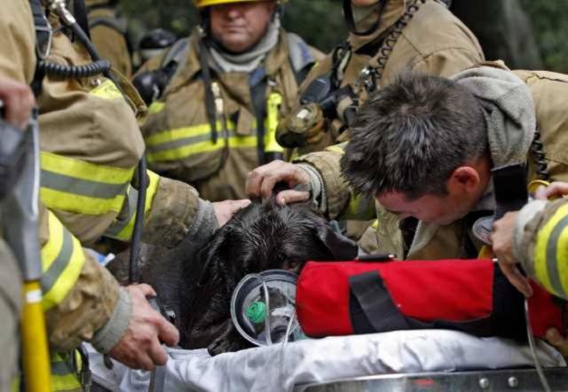firefighters_know_that_each_and_every_life_matters_640_01