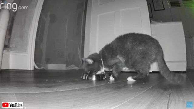 20230926_081914 (8)_batch