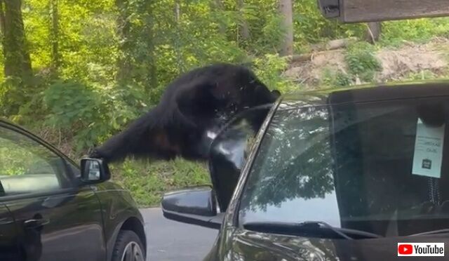 20220616_114920_batch