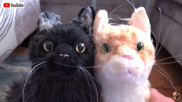 fakecats5_640