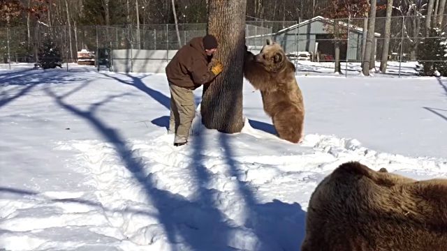 jimnbears4