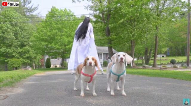 20230520_235839 (4)_batch