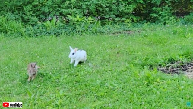 20240226_100333 (6)_batch