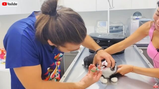 20220817_200403 (3)_batch