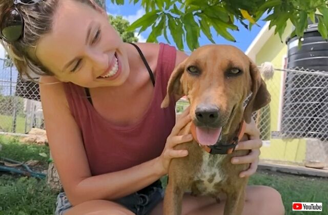 道端にいた運命の出会い！だが「家ではあなたを飼えないの…」そこで女性がとった決断とは