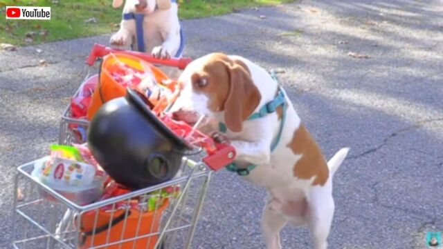 20231103_212924_batch