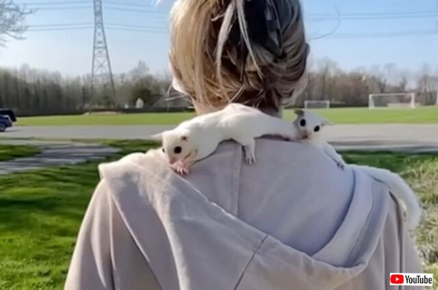 20230513_114229 (4)_batch