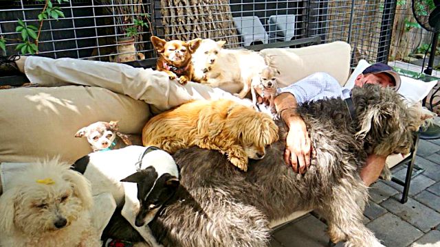 livingwithmultiplepets