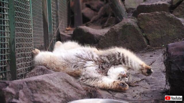 20230126_075230 (3)_batch
