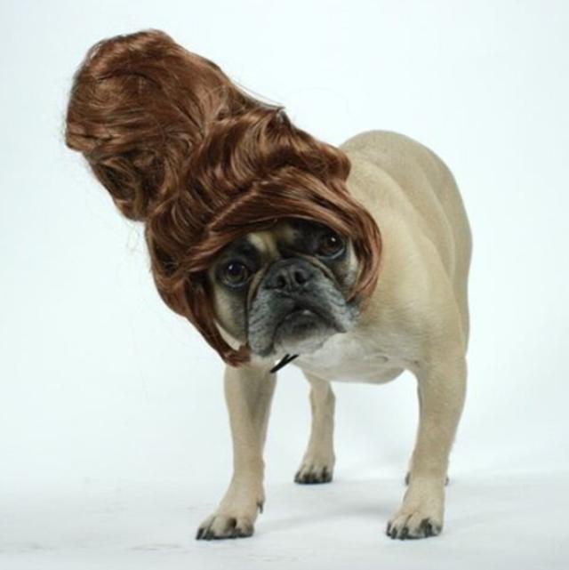 net]