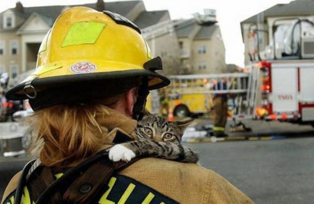firefighters_know_that_each_and_every_life_matters_640_08