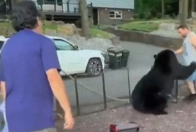 20230924_113701 (4)_e