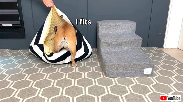 itfitsisits3_640