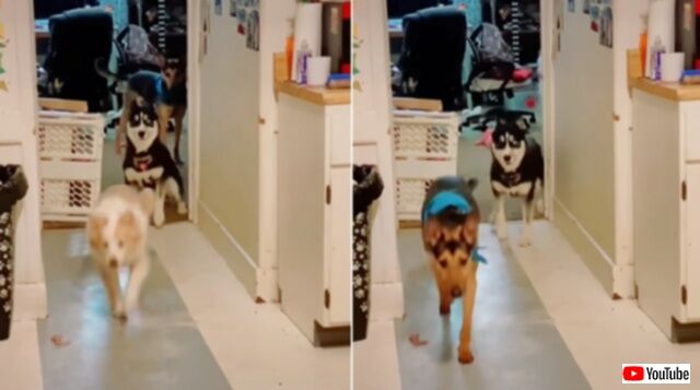 20240315_063550_batch