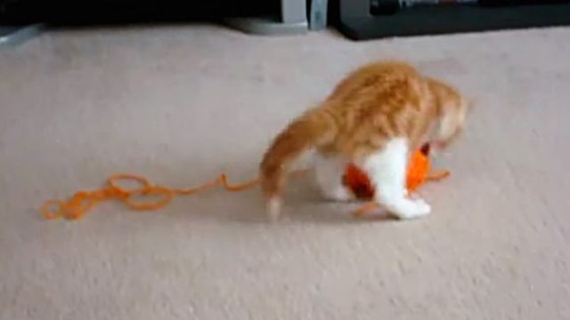 yarn4