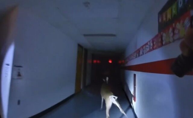 20231207_075630 (3)_e