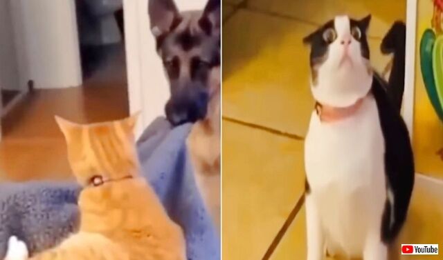 20221127_075539 (5)_batch