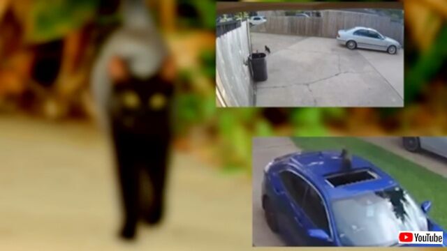 20230916_180059 (3)_batch