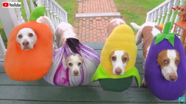 20231103_212923_batch