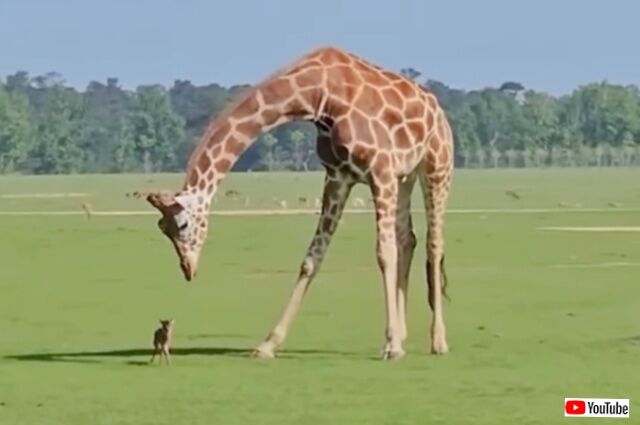 20231224_023235 (2)_batch