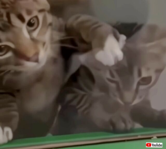 20230920_034812 (2)_batch