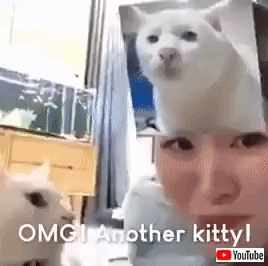 gif (1)