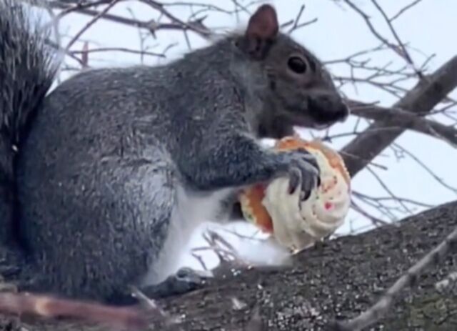 20240129_193012 (2)_batch