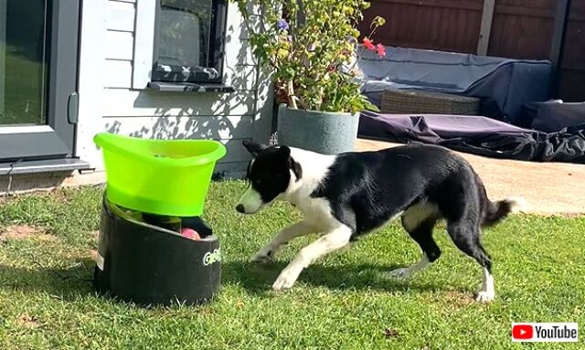 fetch5_640