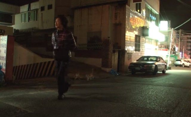 bodyguardcats15_e