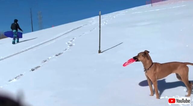 sledding2_640