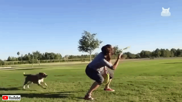 fluffyfailsfurrywins5