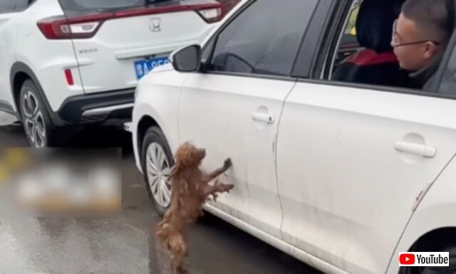 20240325_101141 (4)_batch