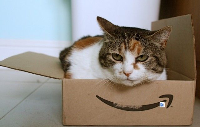 toobig4box5_e