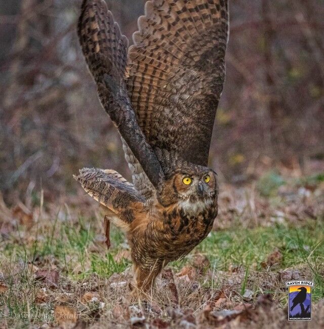 417879992_785879576908720_1716284479396130486_n_e