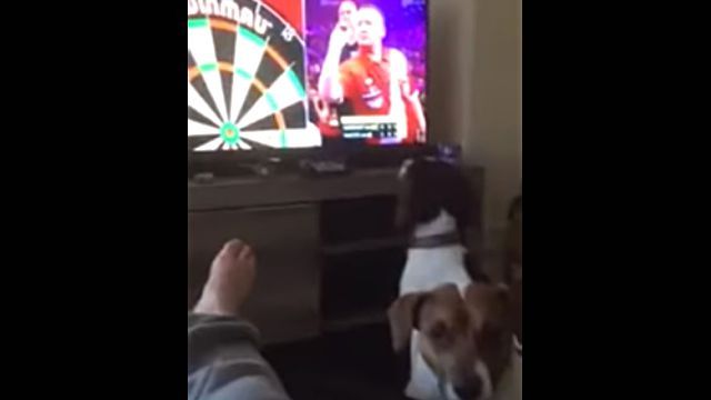 darts2