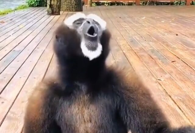 20220520_104021 (3)_batch