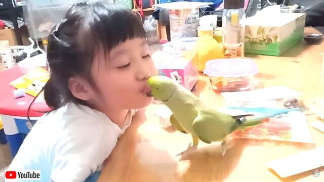 birdlusgirl1_640