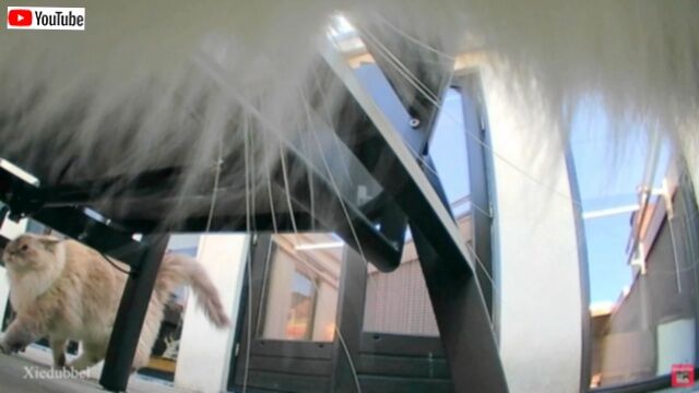 20230713_115209 (2)_batch