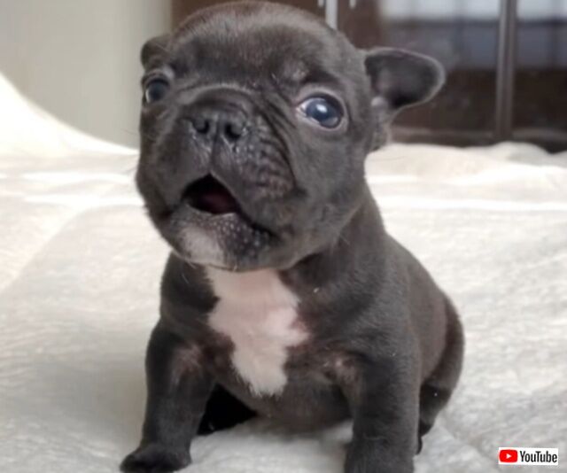 20231211_101555_batch