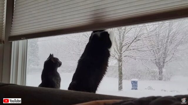 20221125_001412 (4)_batch