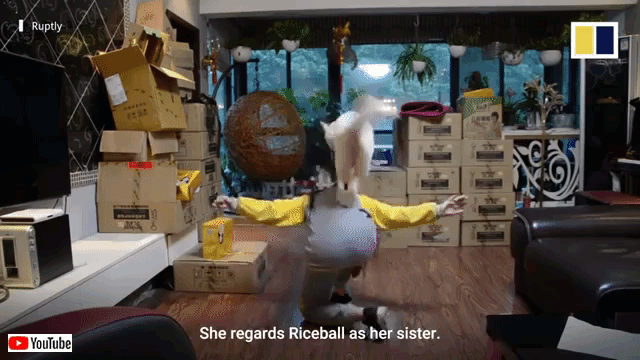 riceball2