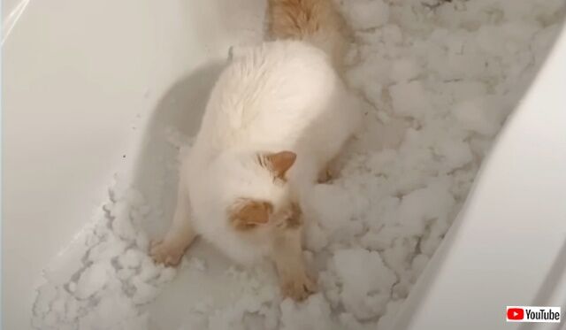 20230312_185942 (10)_batch