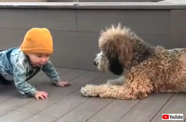 toddler3_640